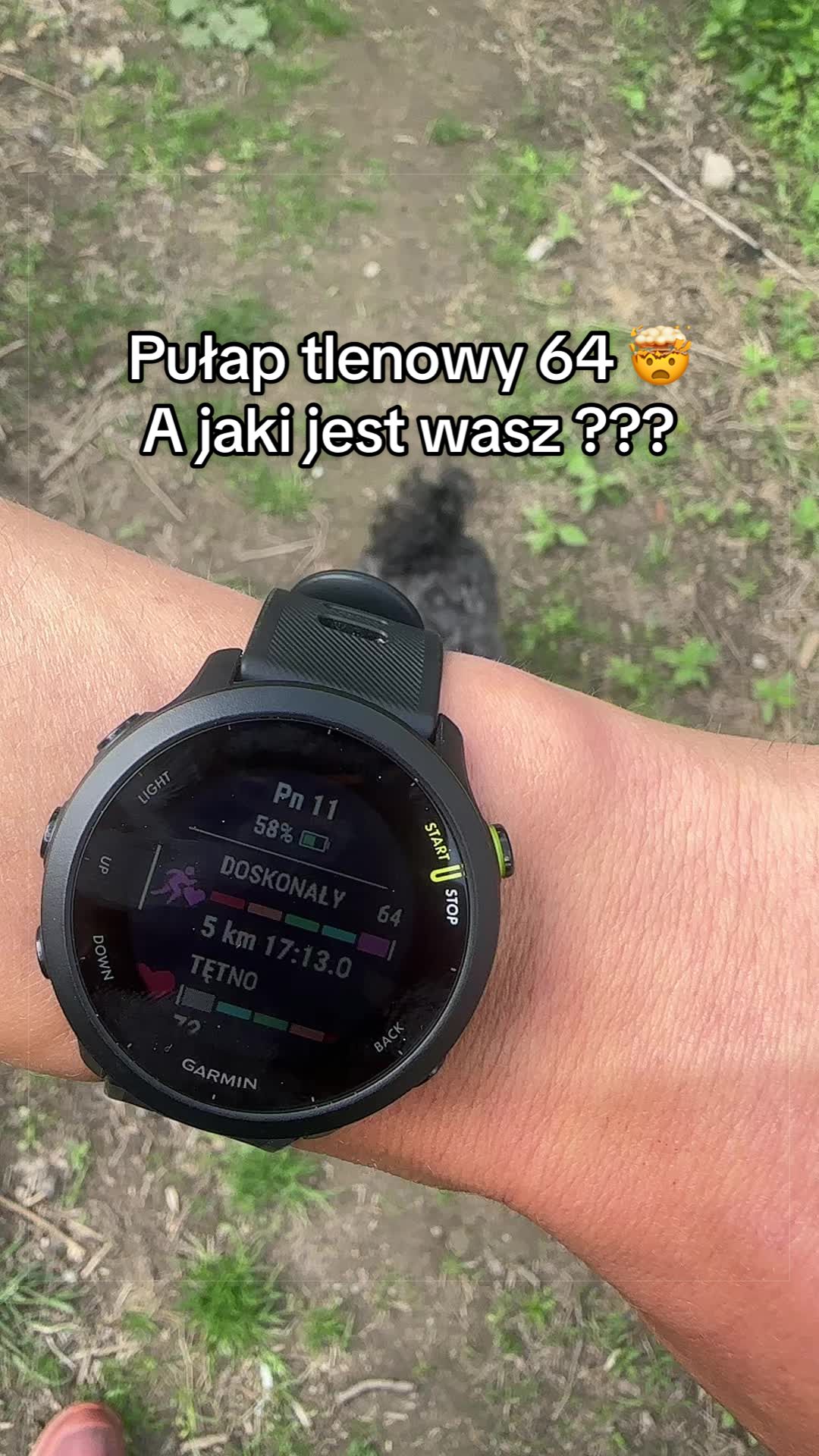 @krzysztof_sadek