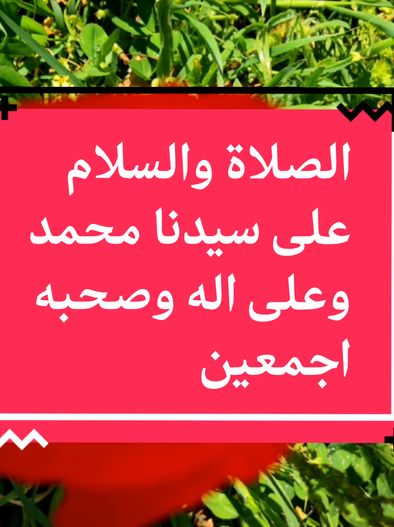 @Idoghlaf Mohamed