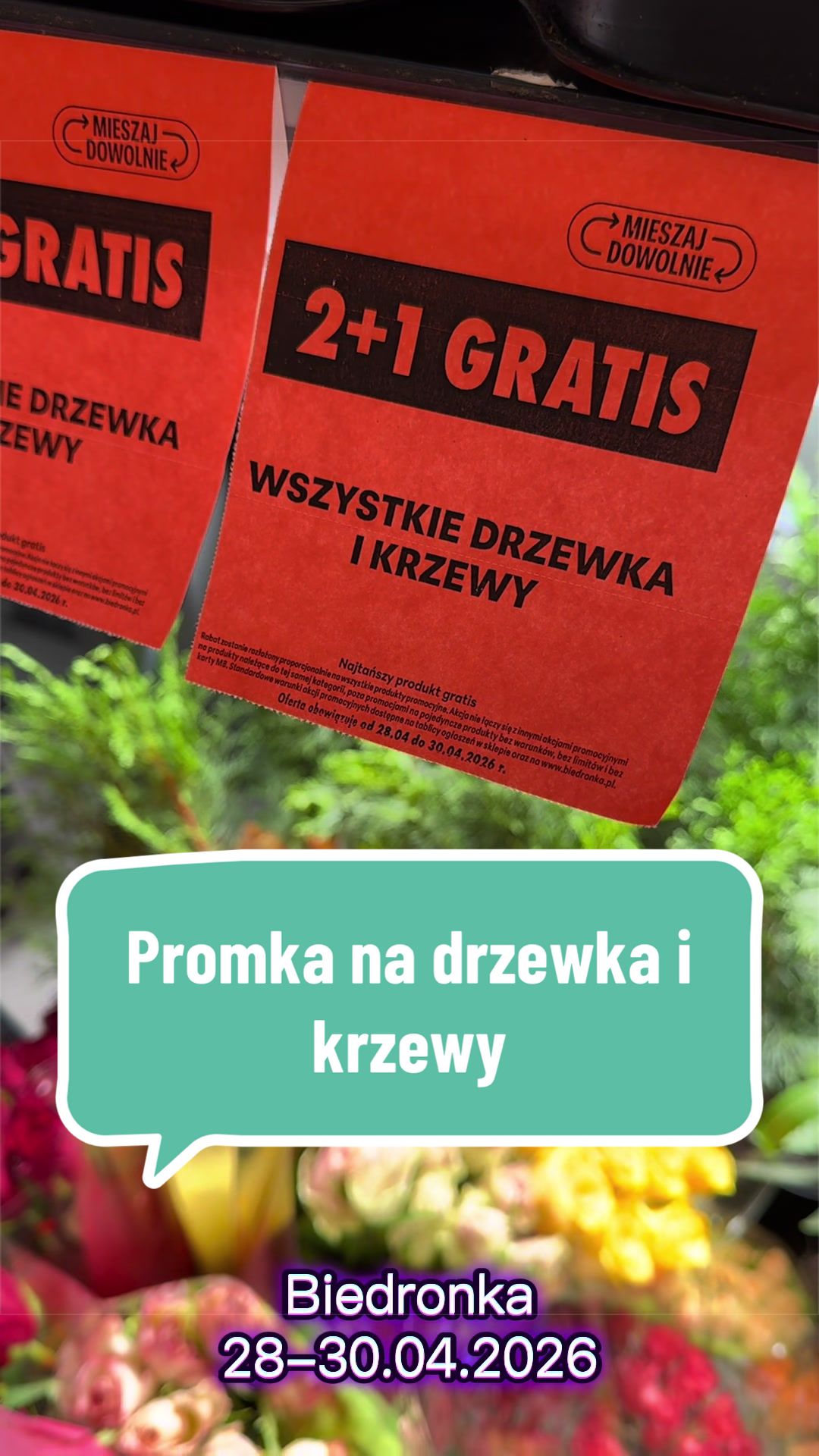 @maciej.plants