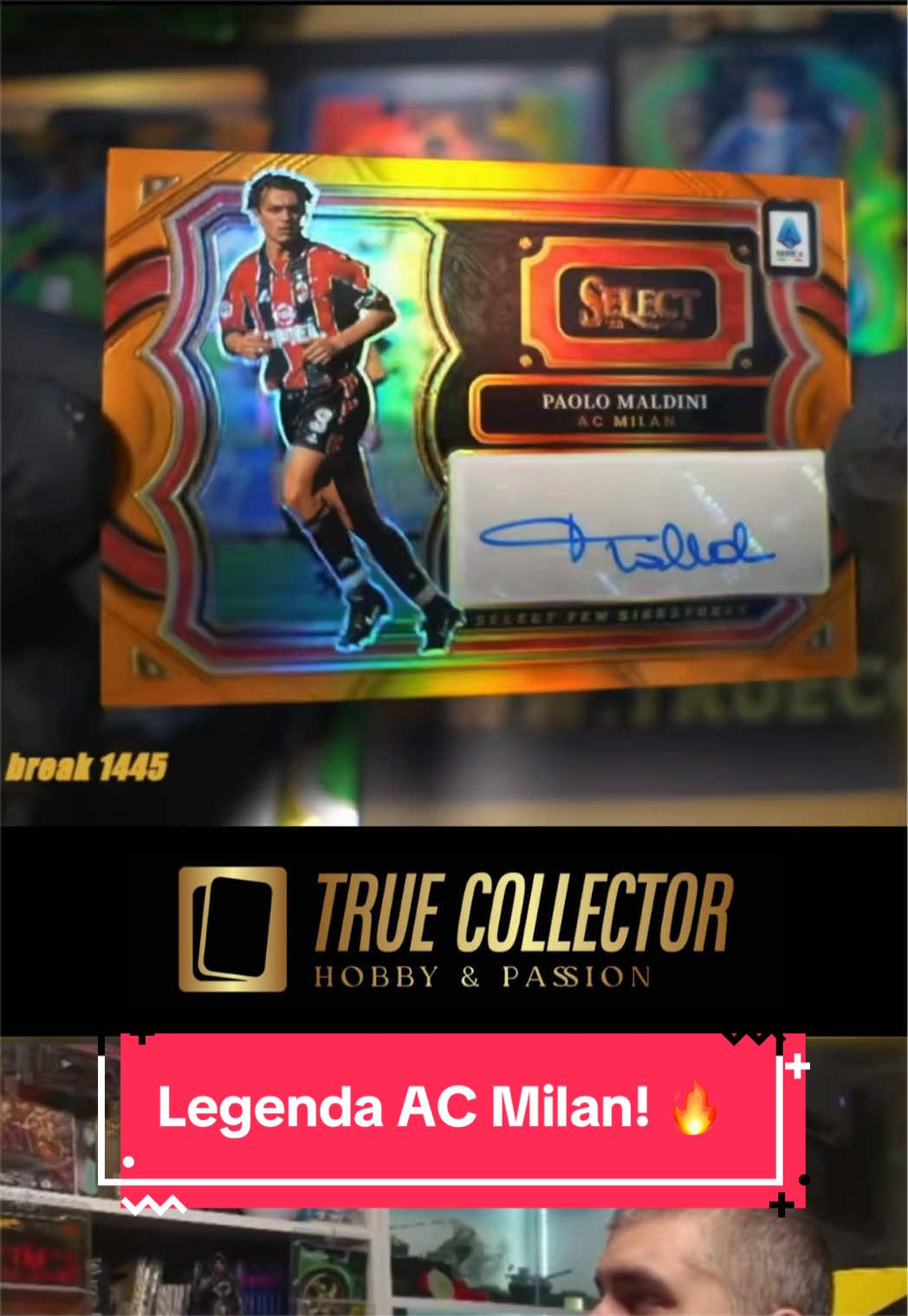 @True Collector Shoty