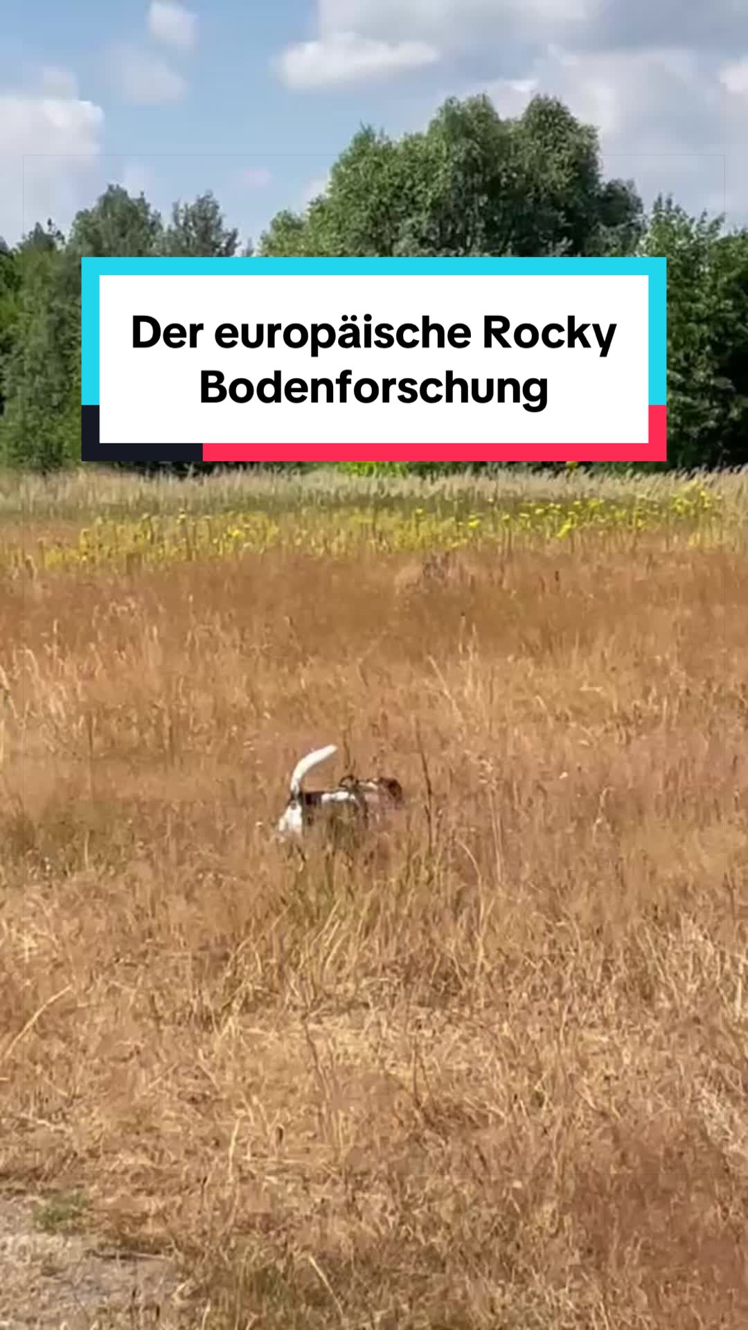 @Rocky und ich