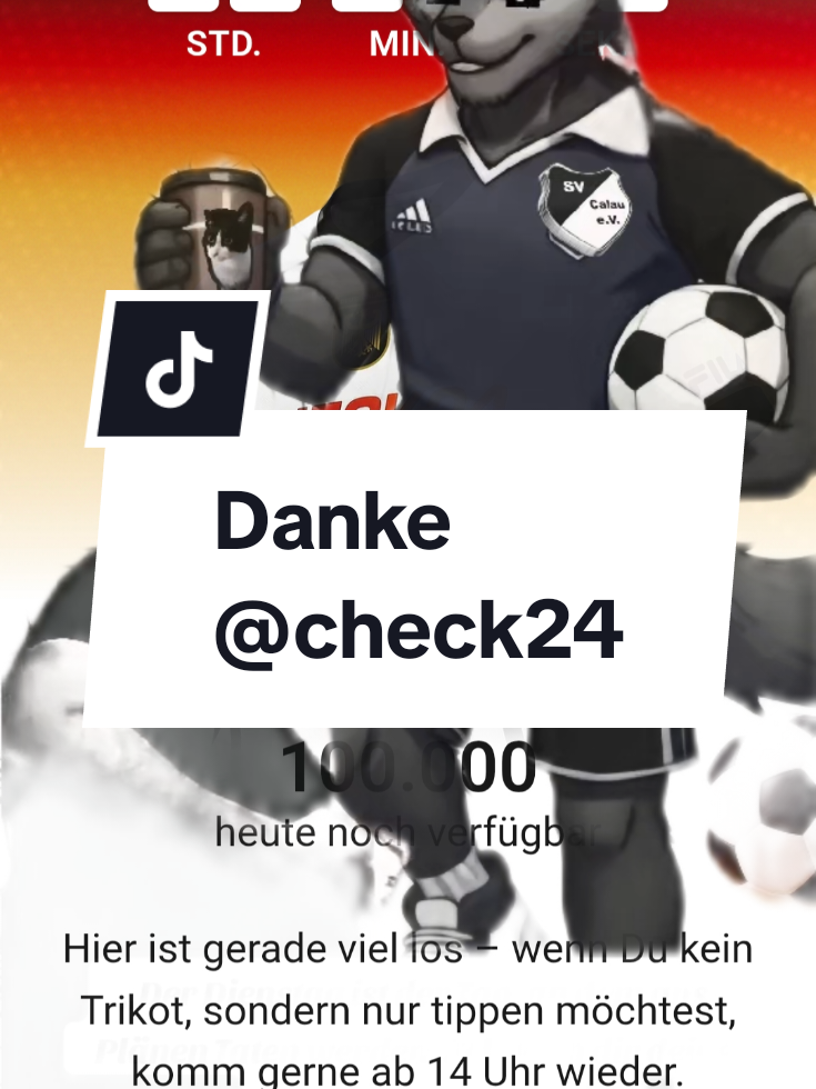 @wolfpacksteffen