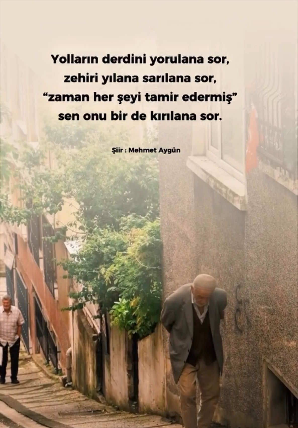 @Mehmet Aygün