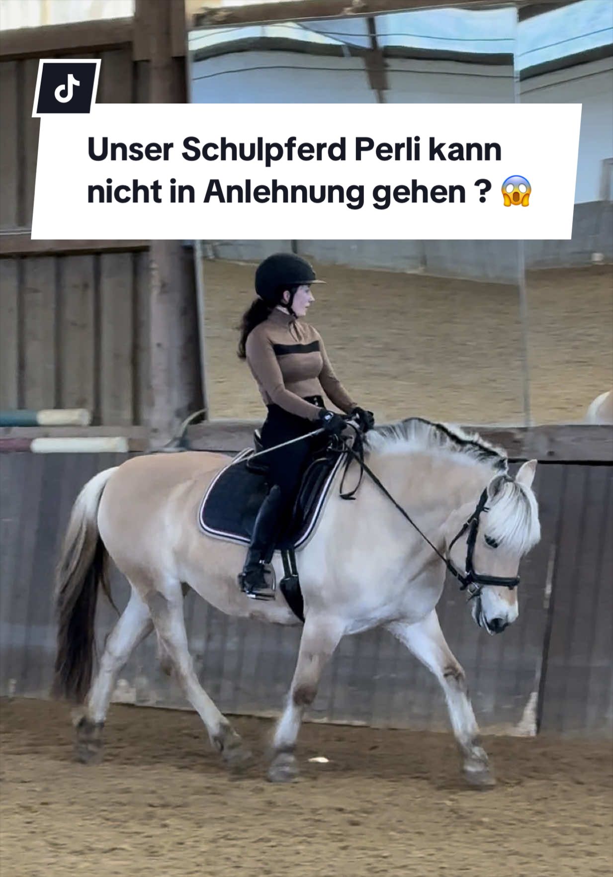 @Sophia • SL Reitschule