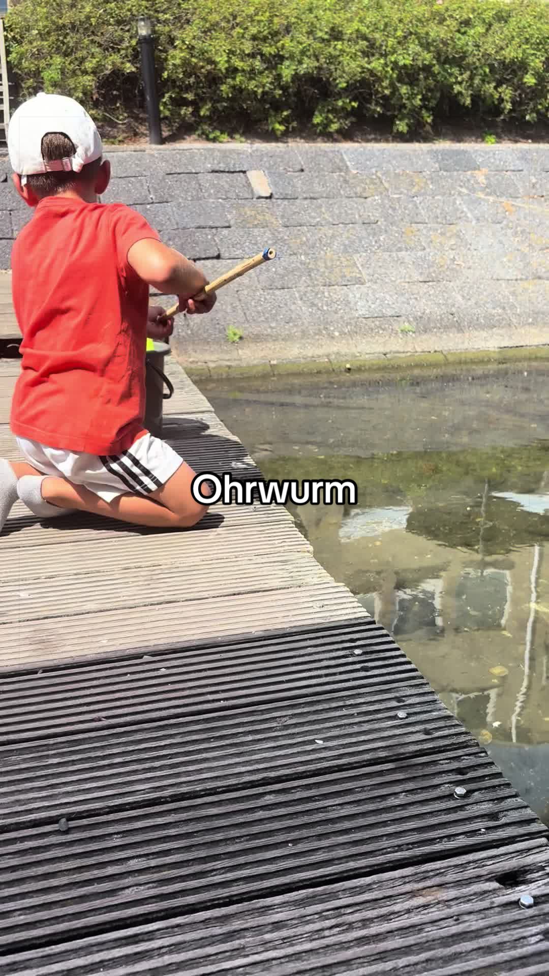 @Mauri Maus