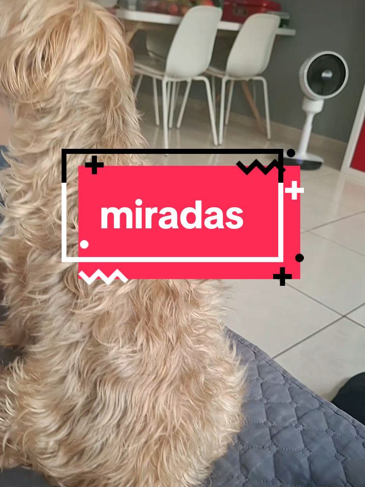 @Milu