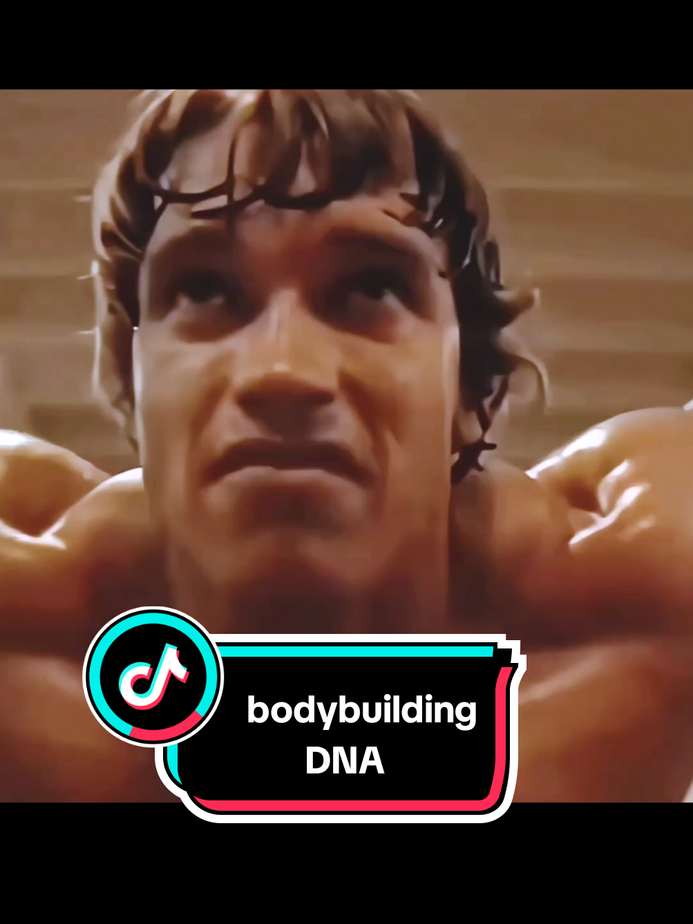 @bodybuildingDNA