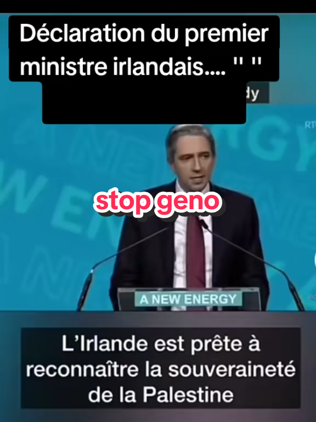 @Karim55