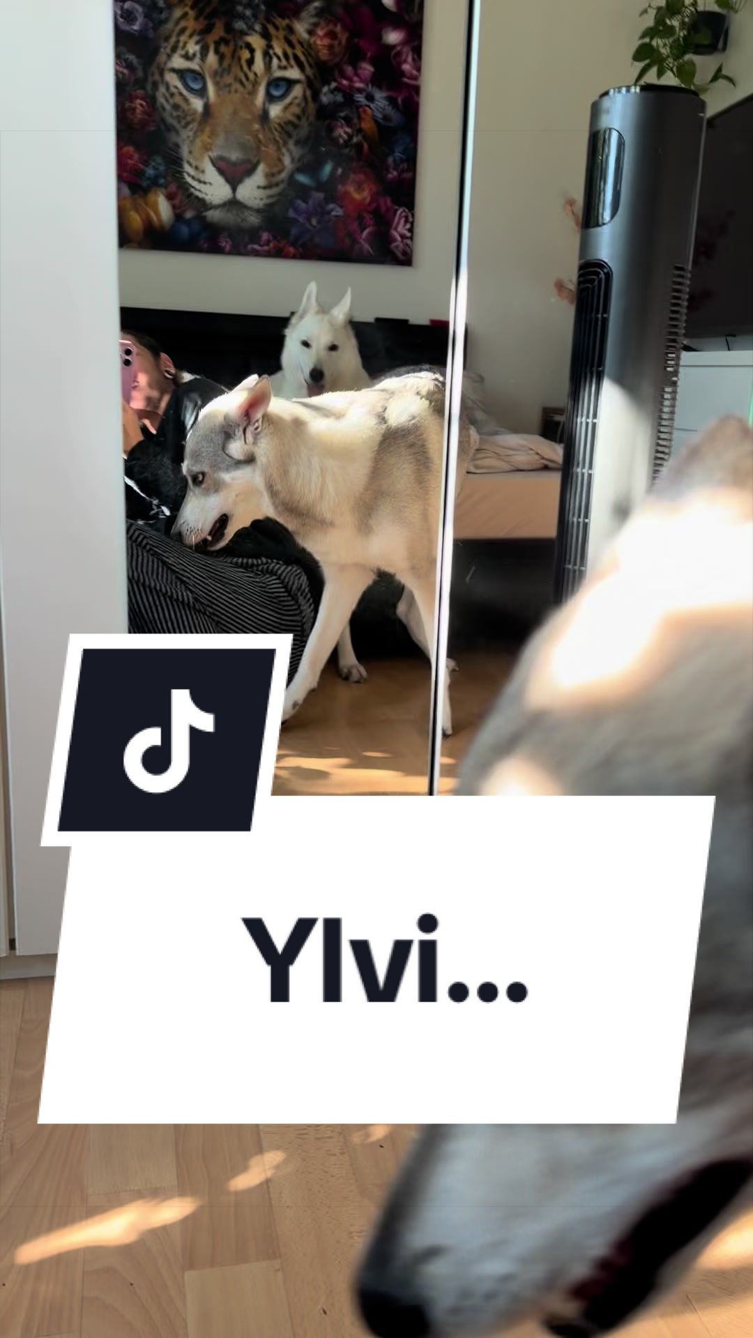 @Coco & Ylvi