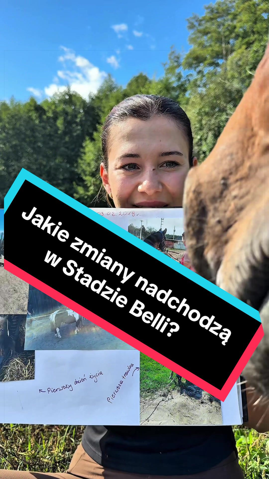@Stado_Belli