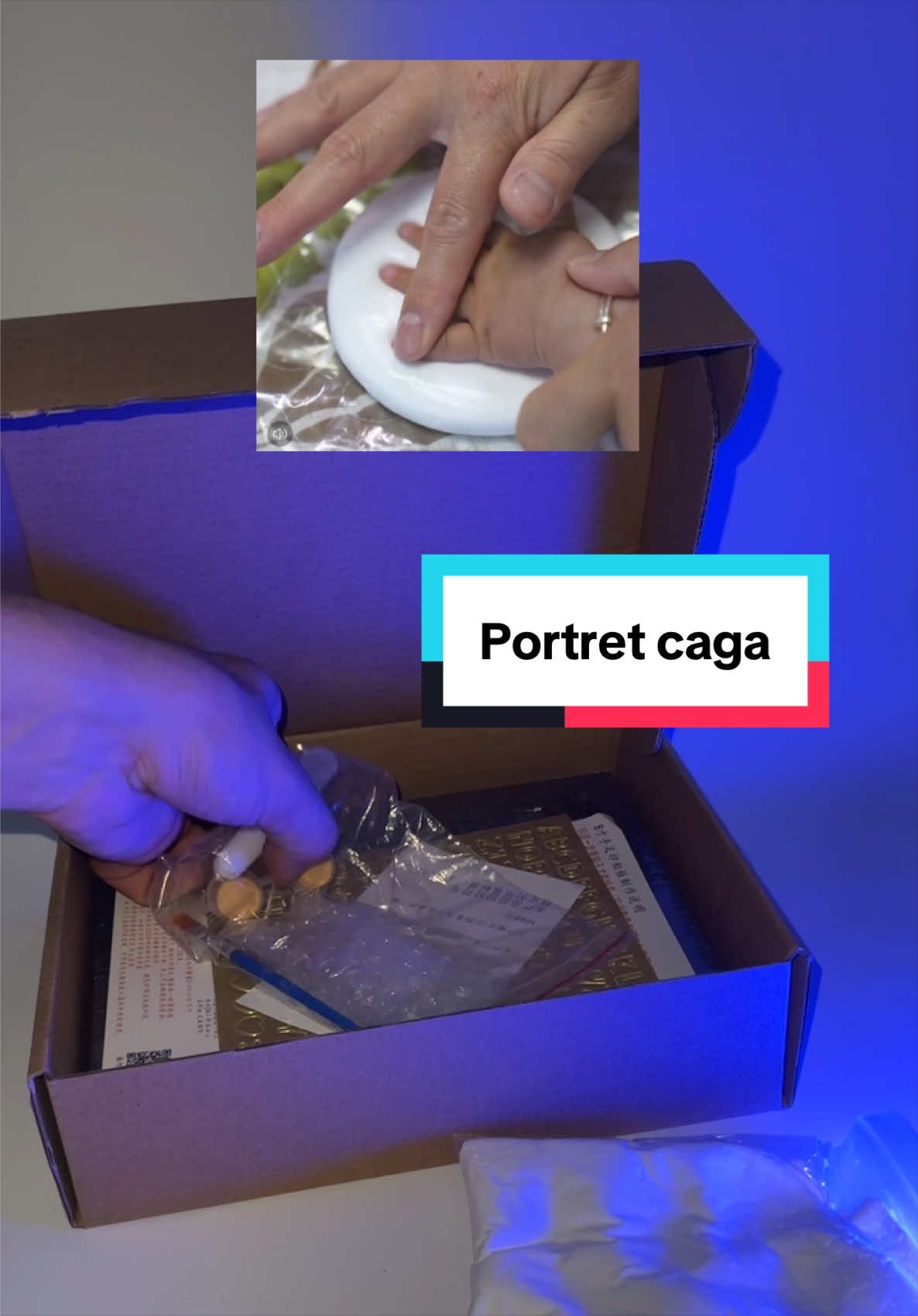@dragobox