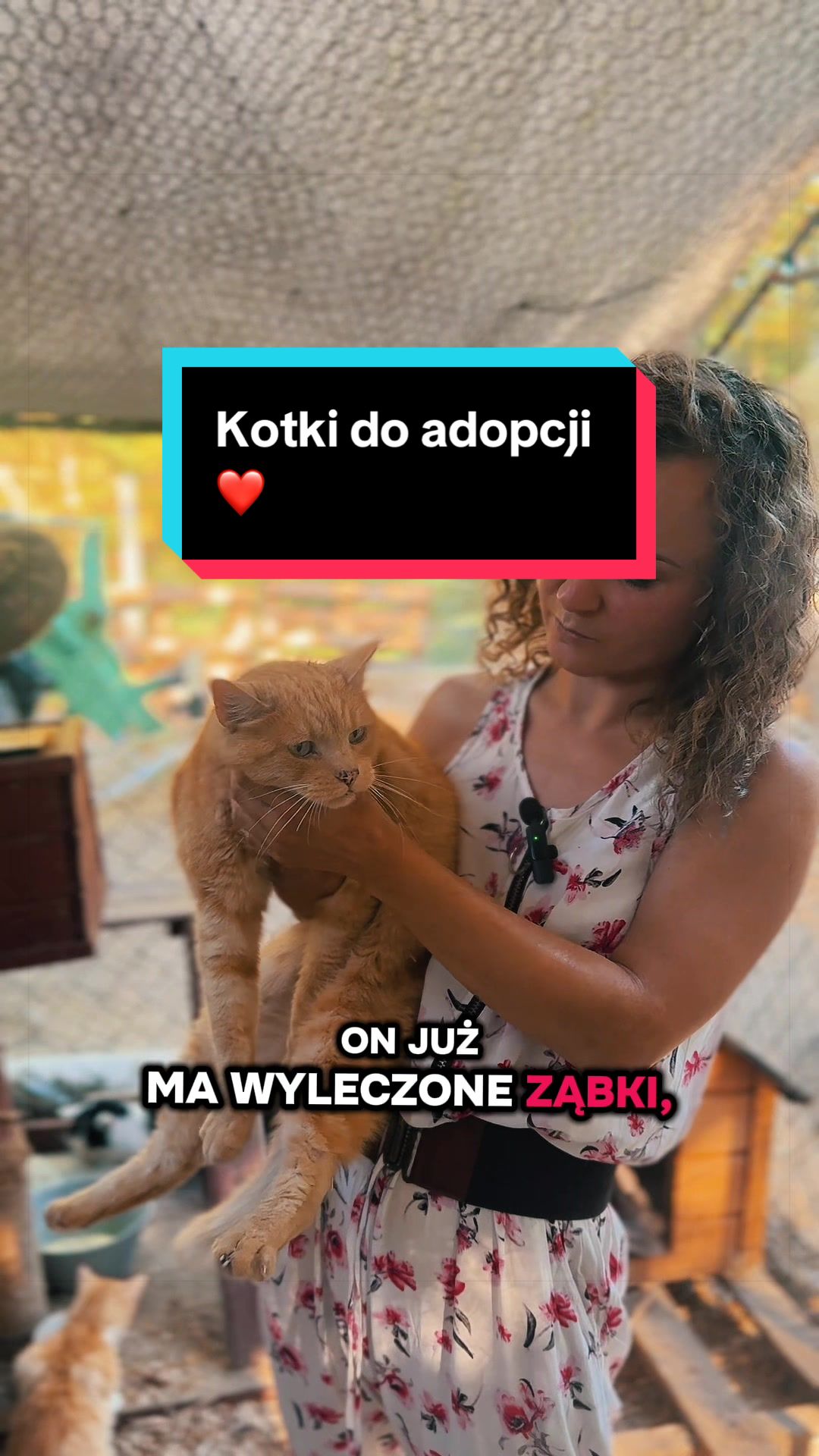 @Weronika Piasecka