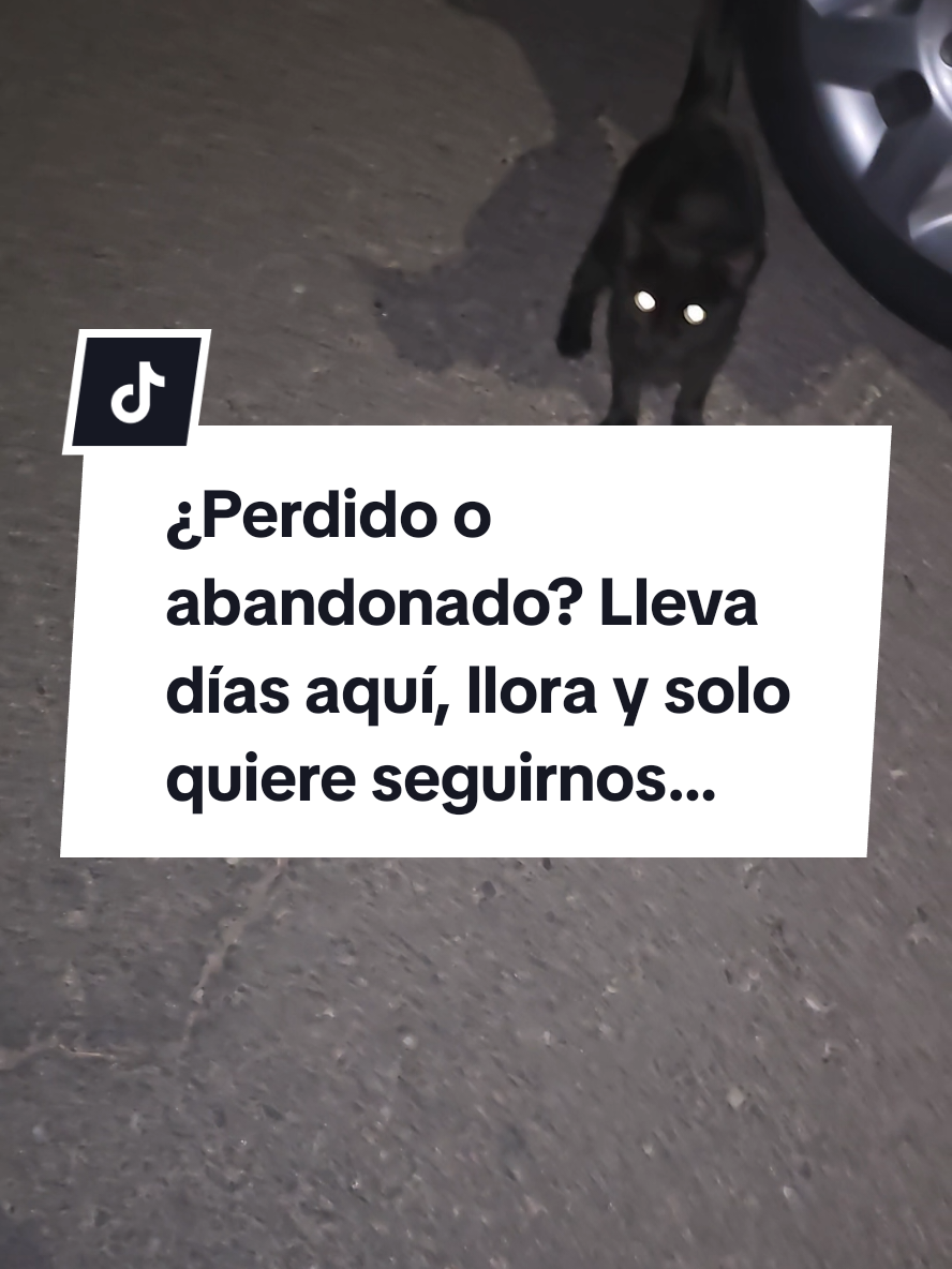 @garritasespaciales