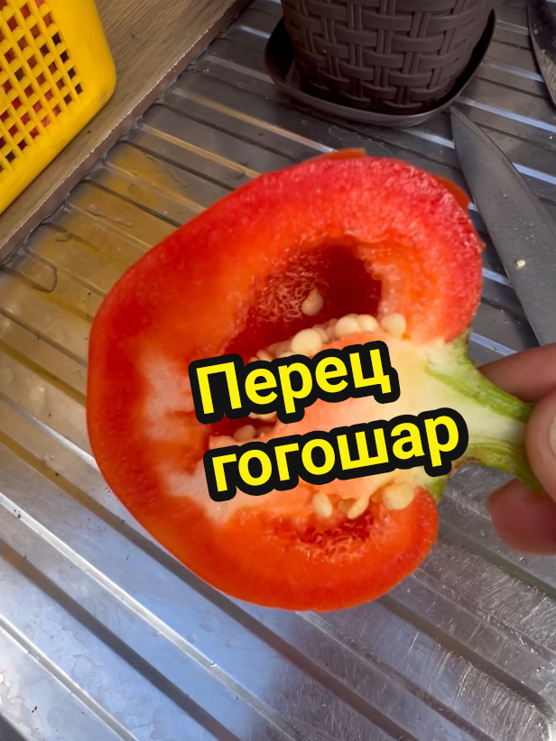 @Неугомонная Таня 😉✌️