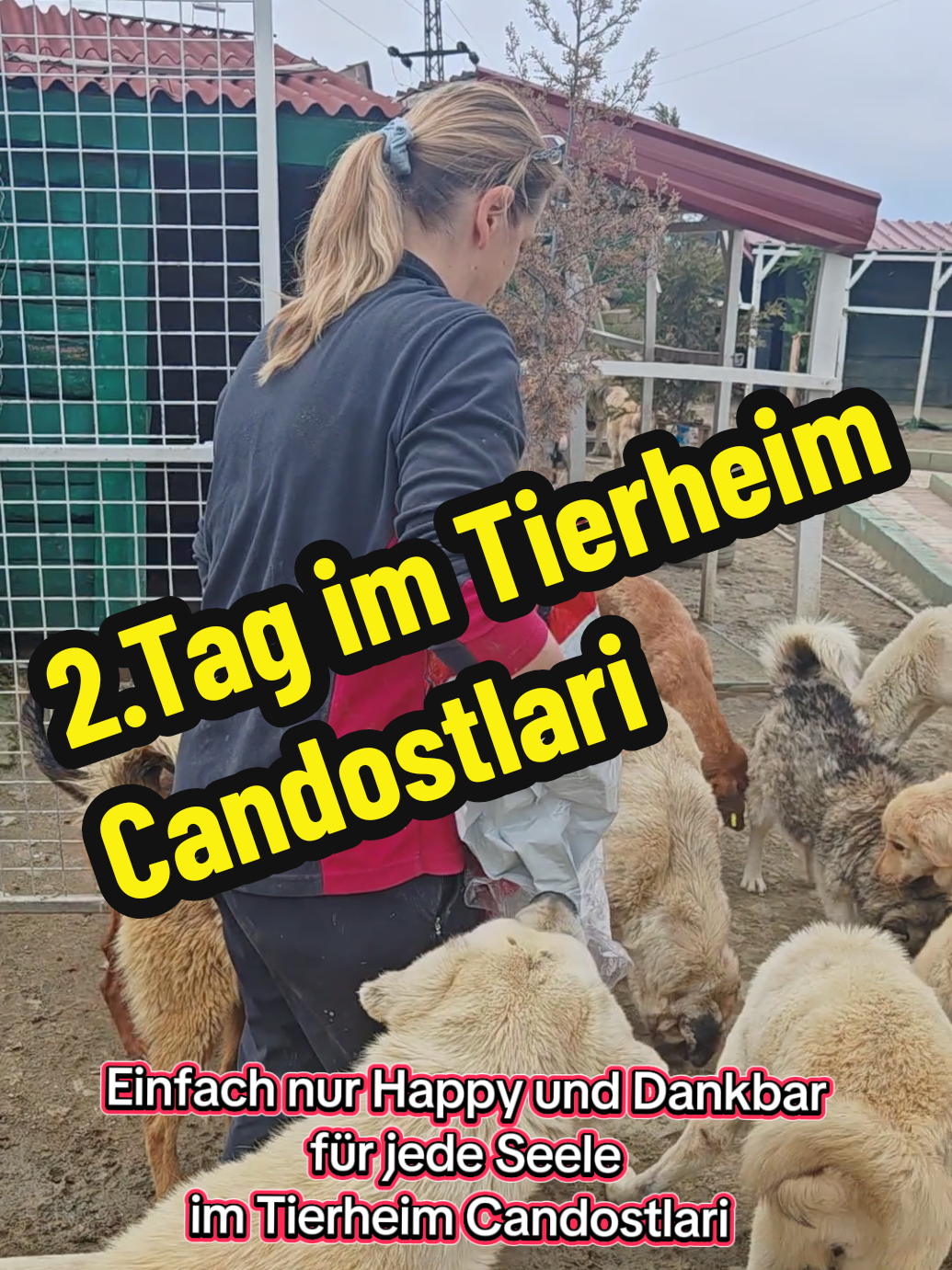 @TSV Candostlari-Beste Freunde