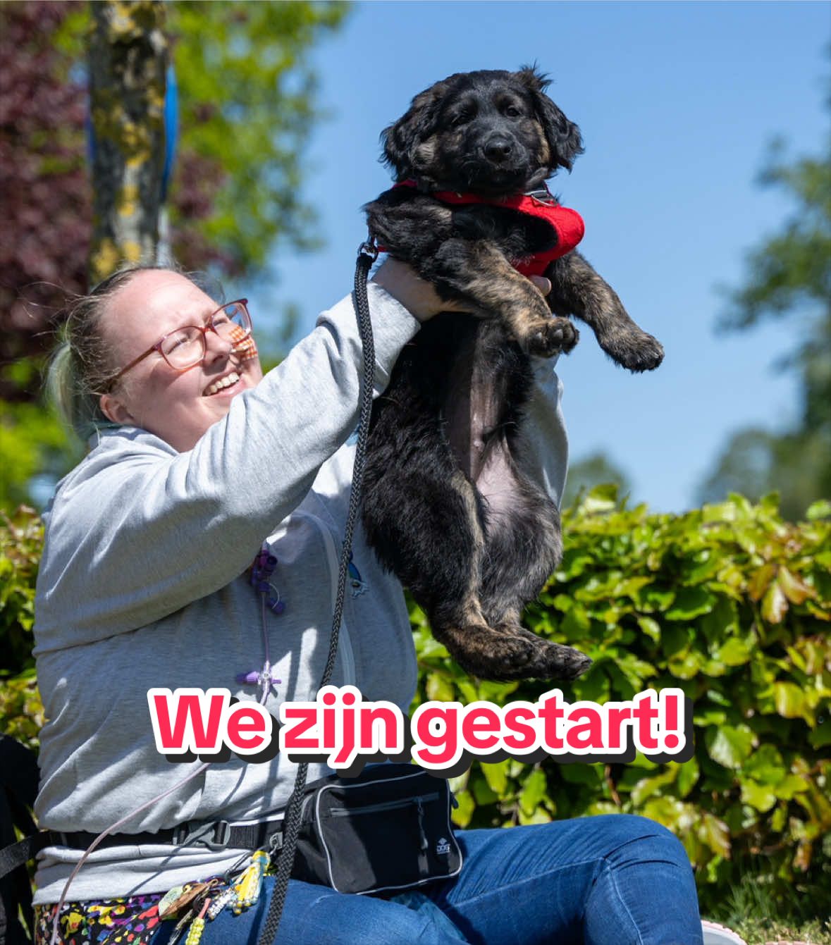 @Mieke🧩Pluto🐾 Mickey🐾