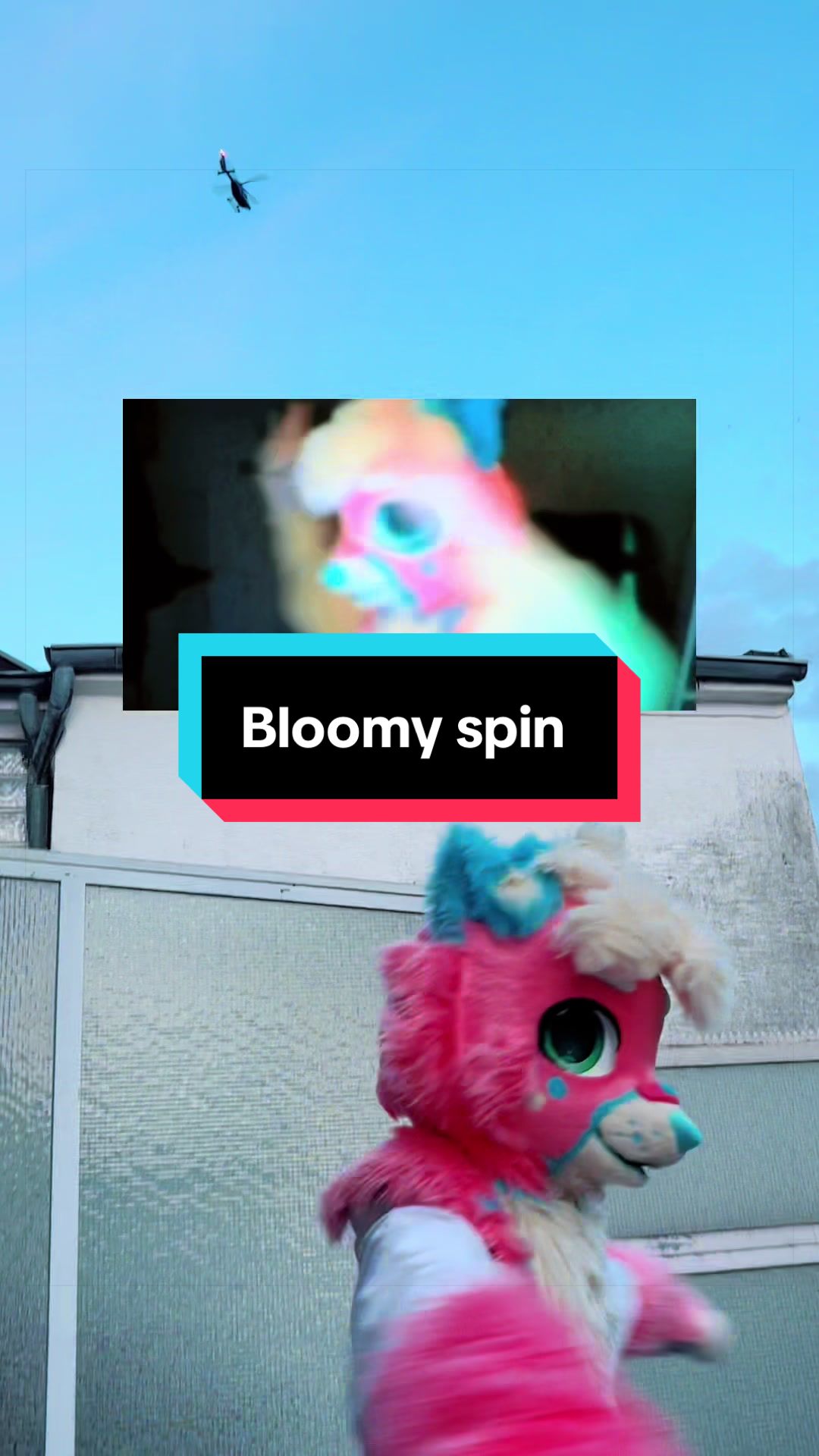 @Bloomy