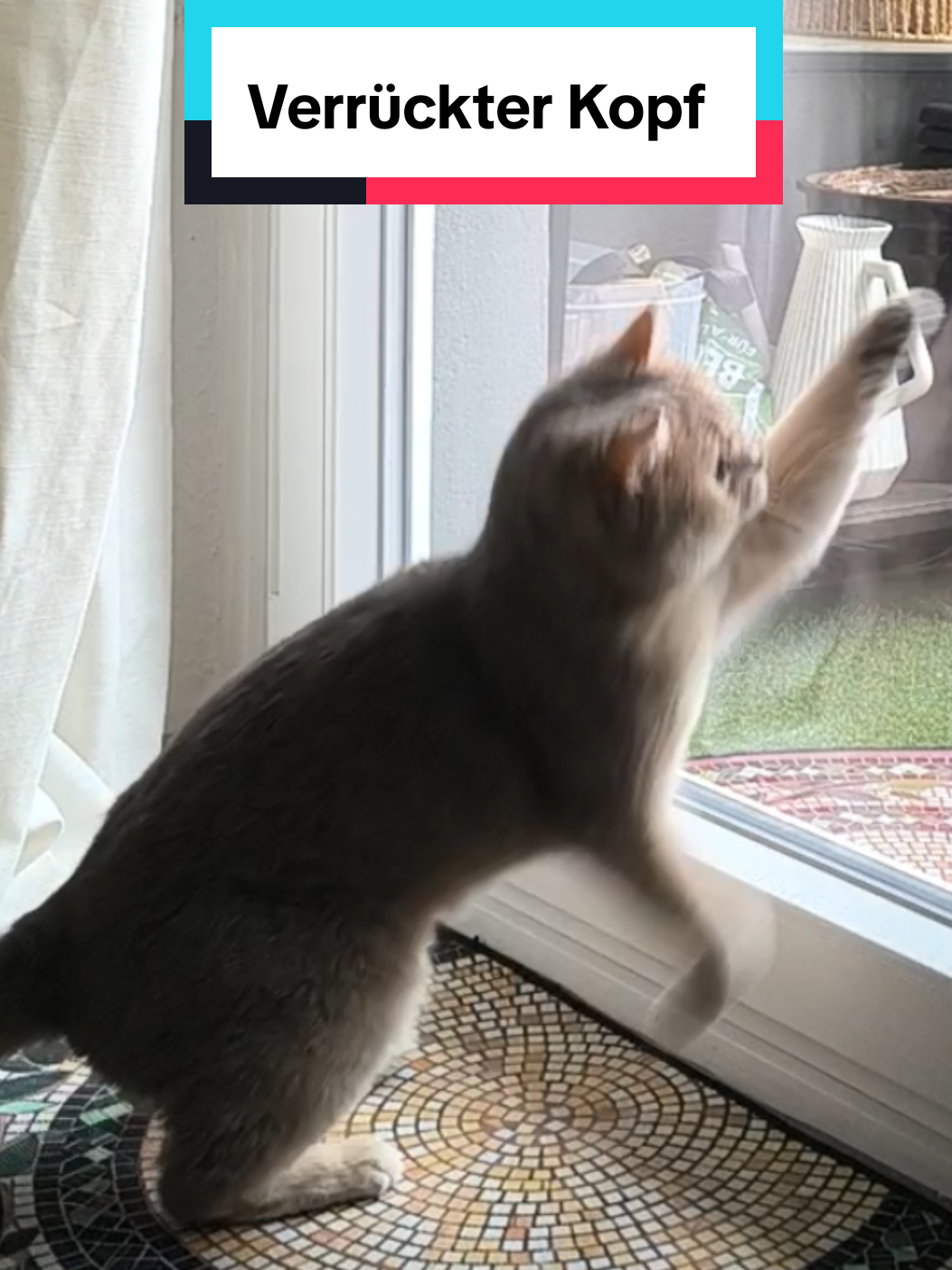 @Nala