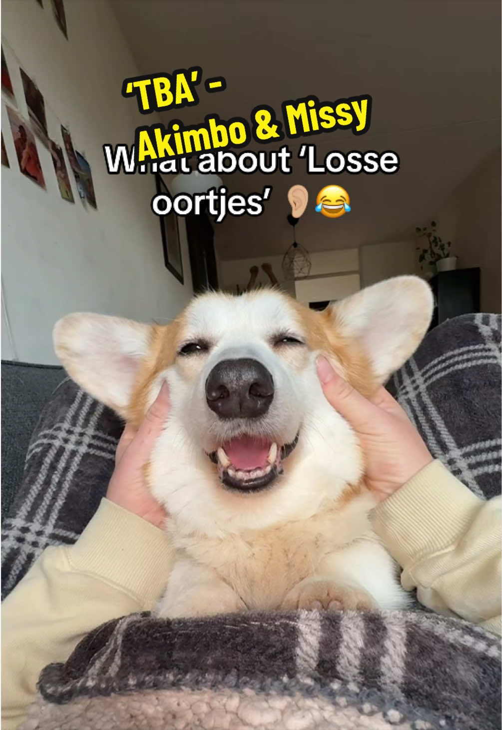 @Kickroll Corgi Charlie 🐶🚀