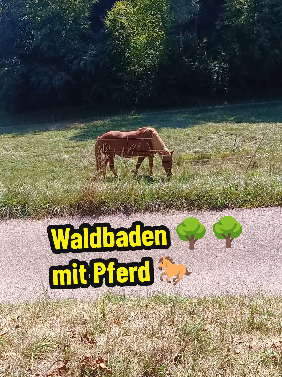 @berndout