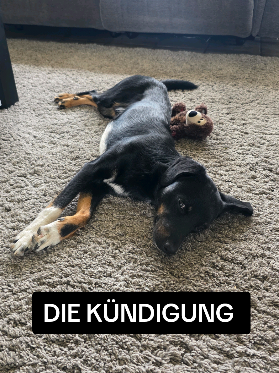 @K&ouml;nig Kack & Prinzessin Pipi👑