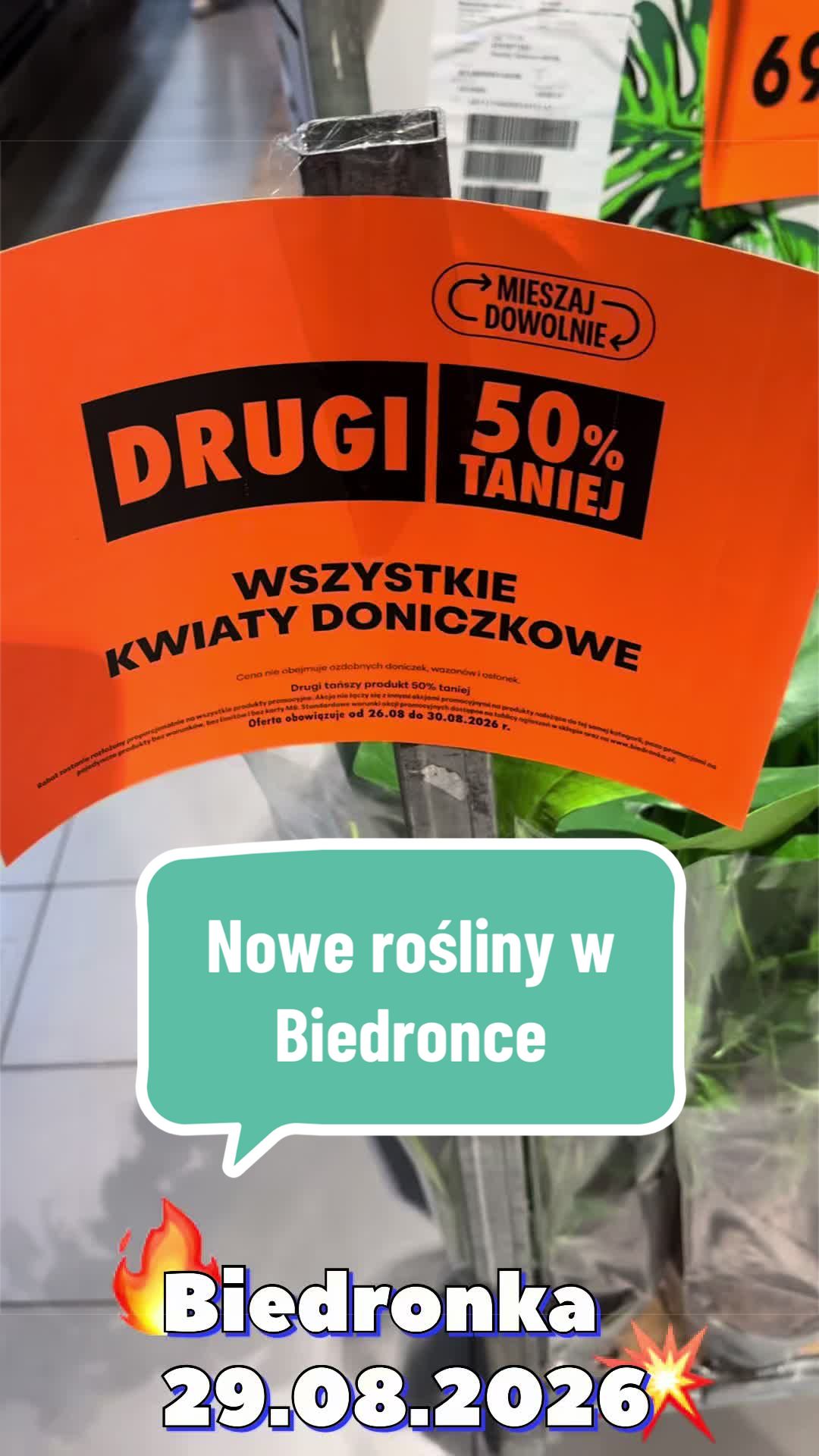 @maciej.plants