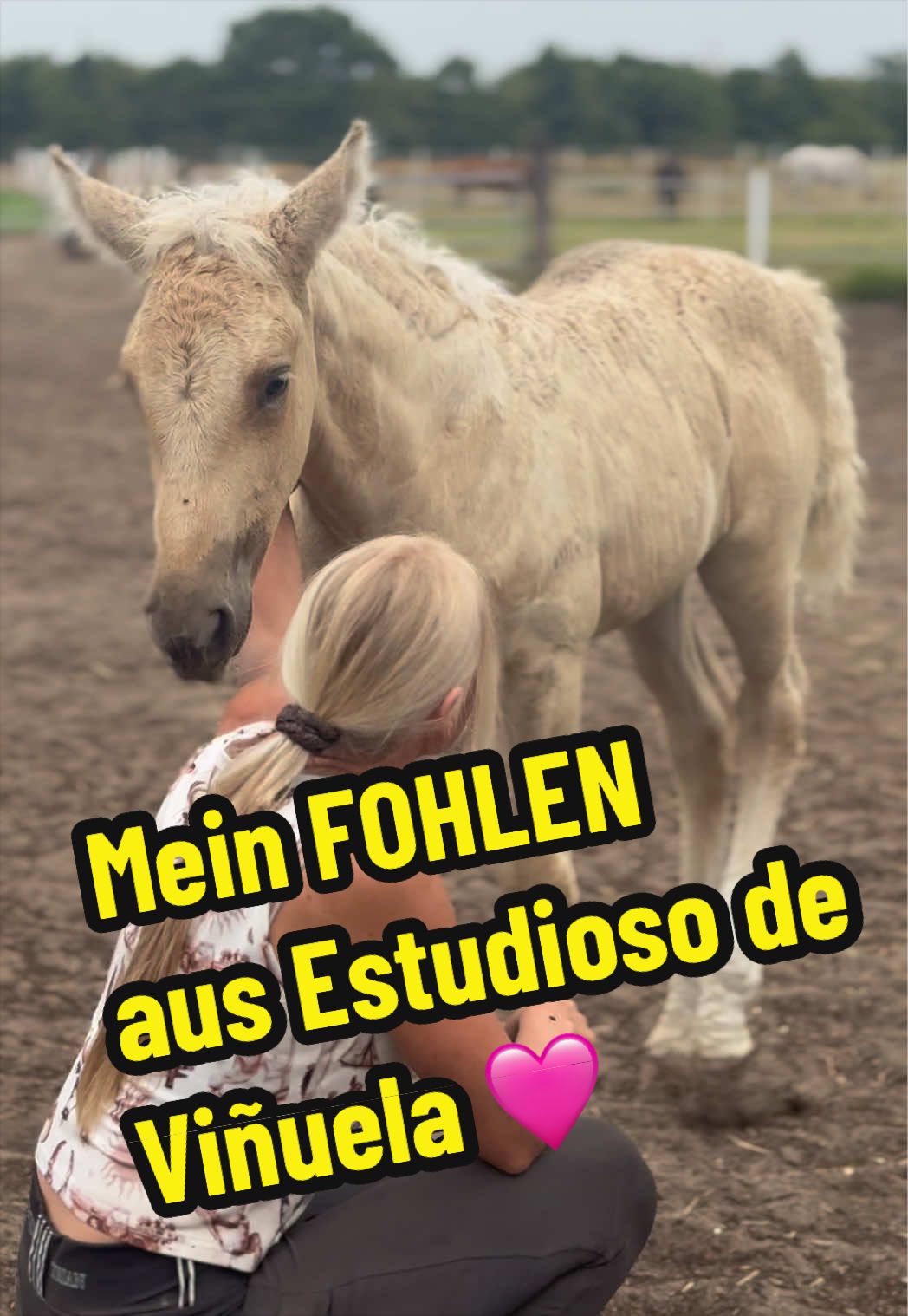 @Deckhengst_EstudiosoDeVi&ntilde;uela