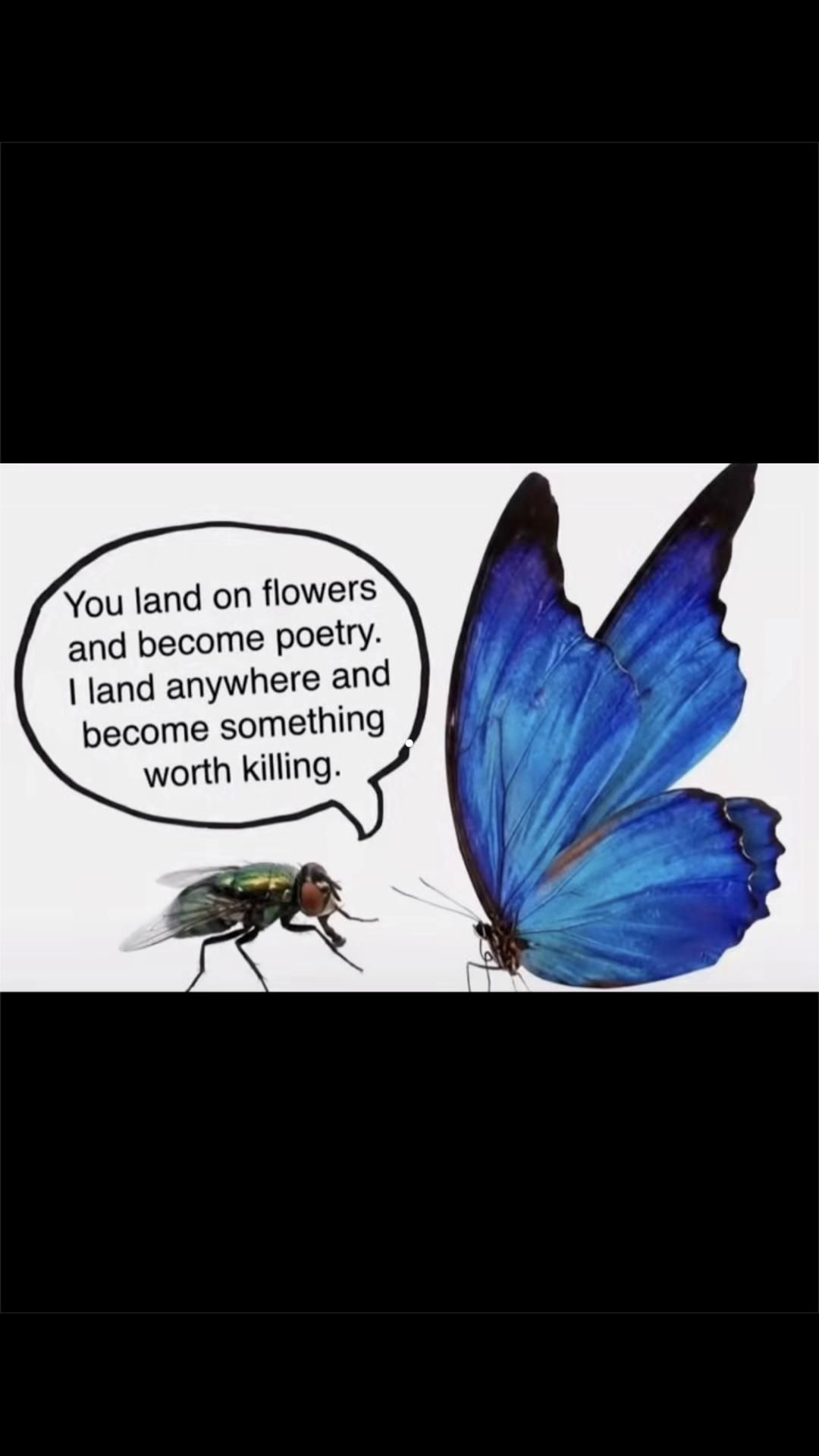 @unknownfeeling