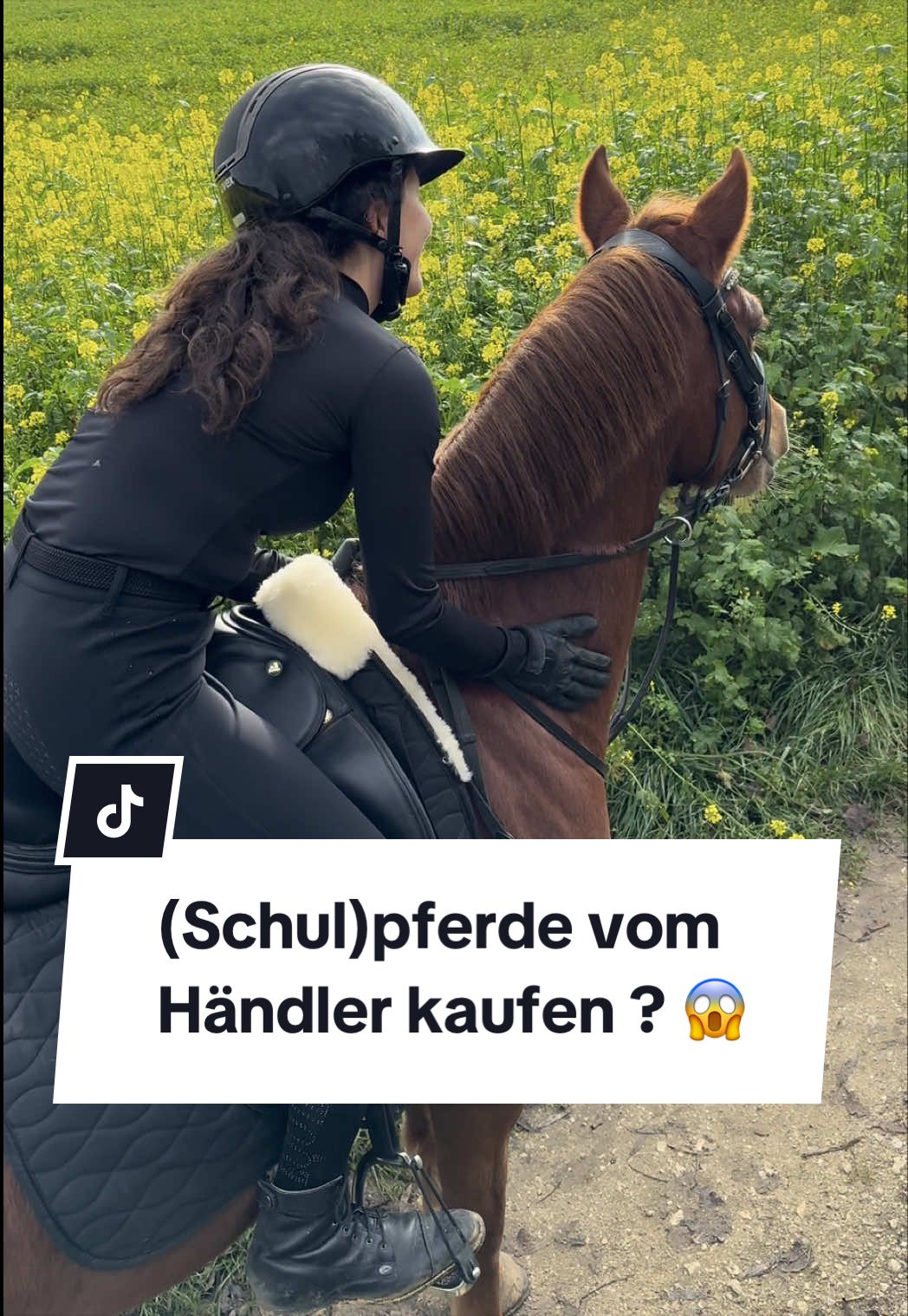 @Sophia • SL Reitschule