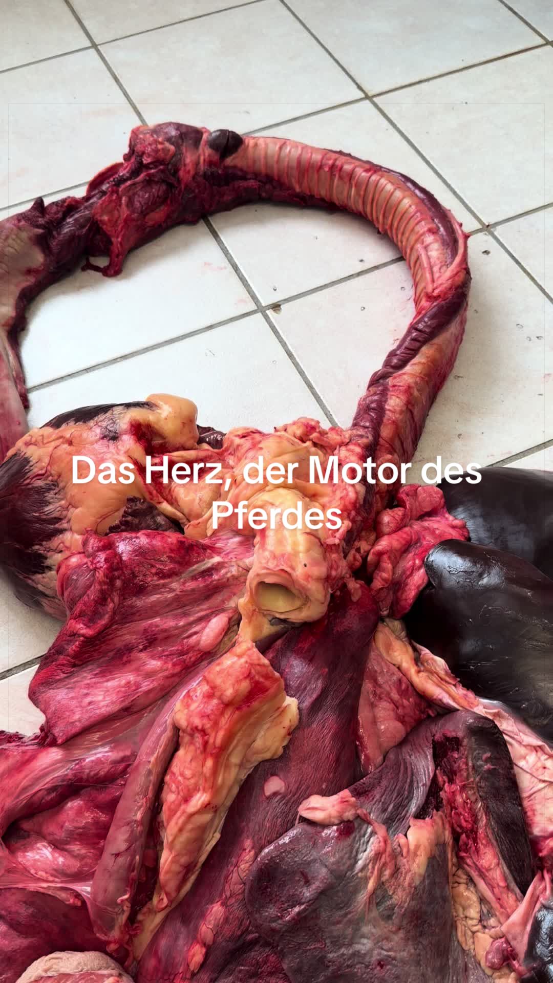 @Monroe66