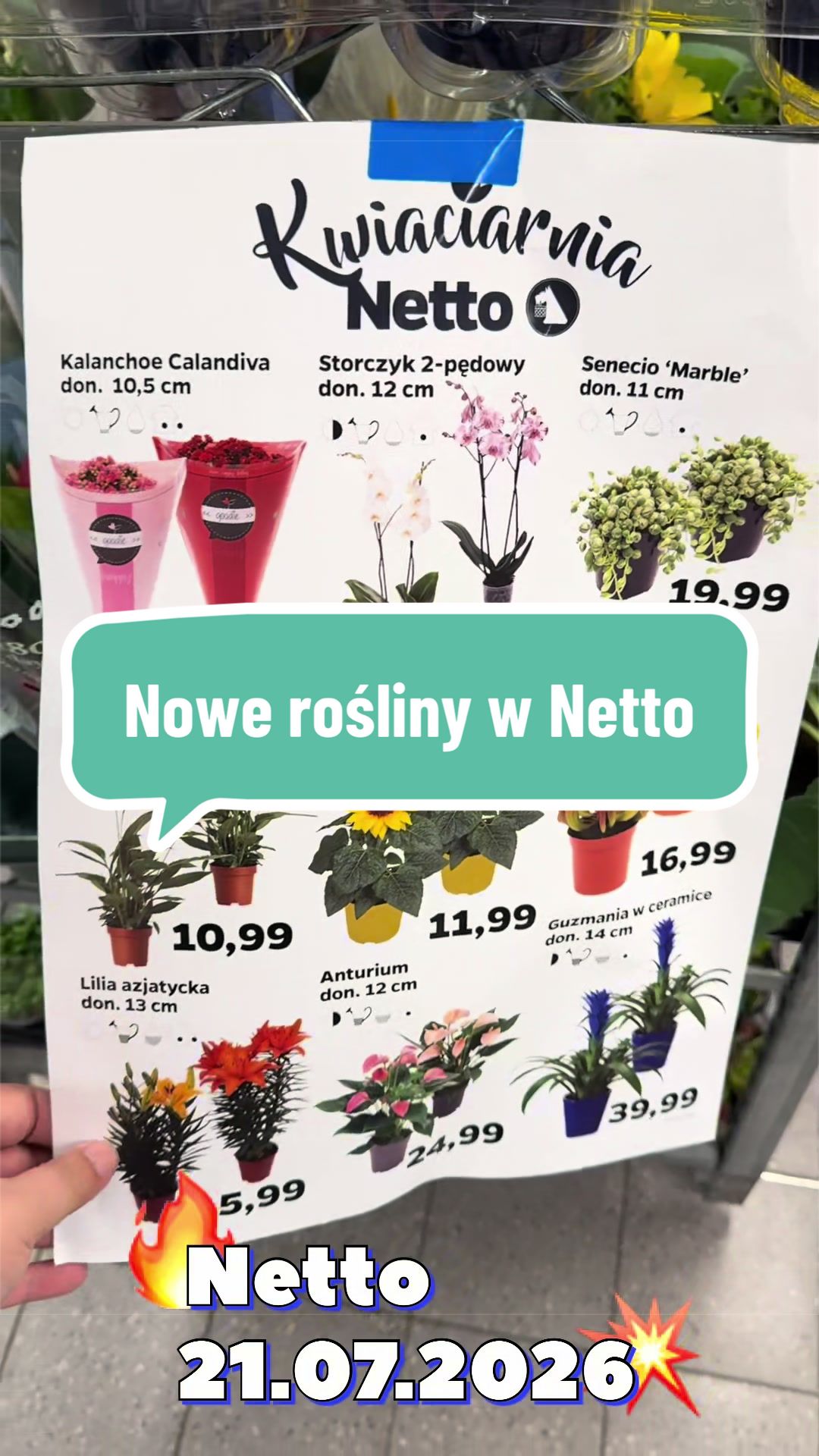 @maciej.plants