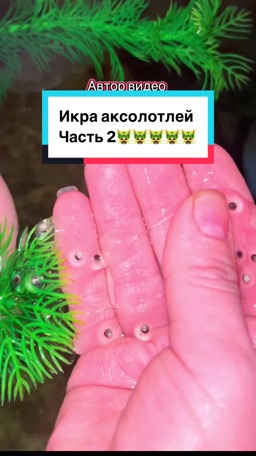 @z_l_a_tt_a