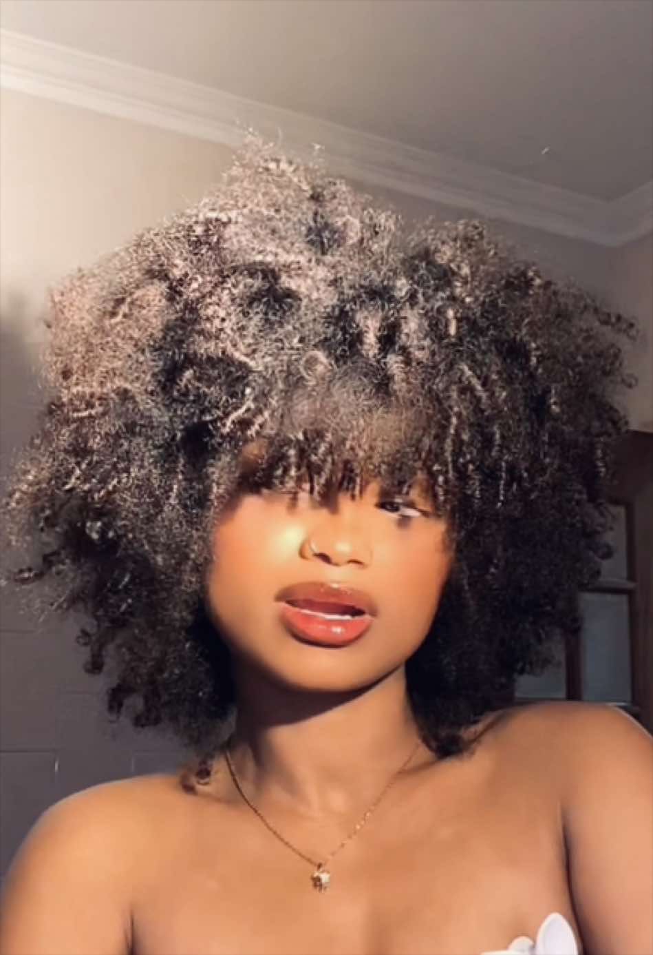 @ELEHONOR✨
