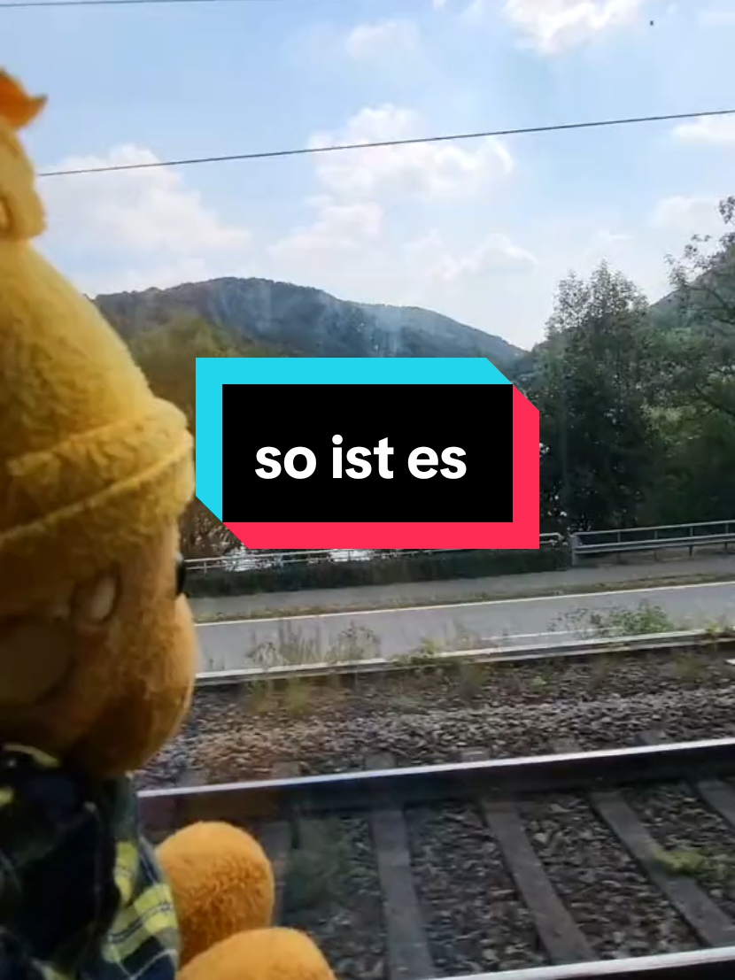 @Frank"s Reisen TeamBrunoFrank