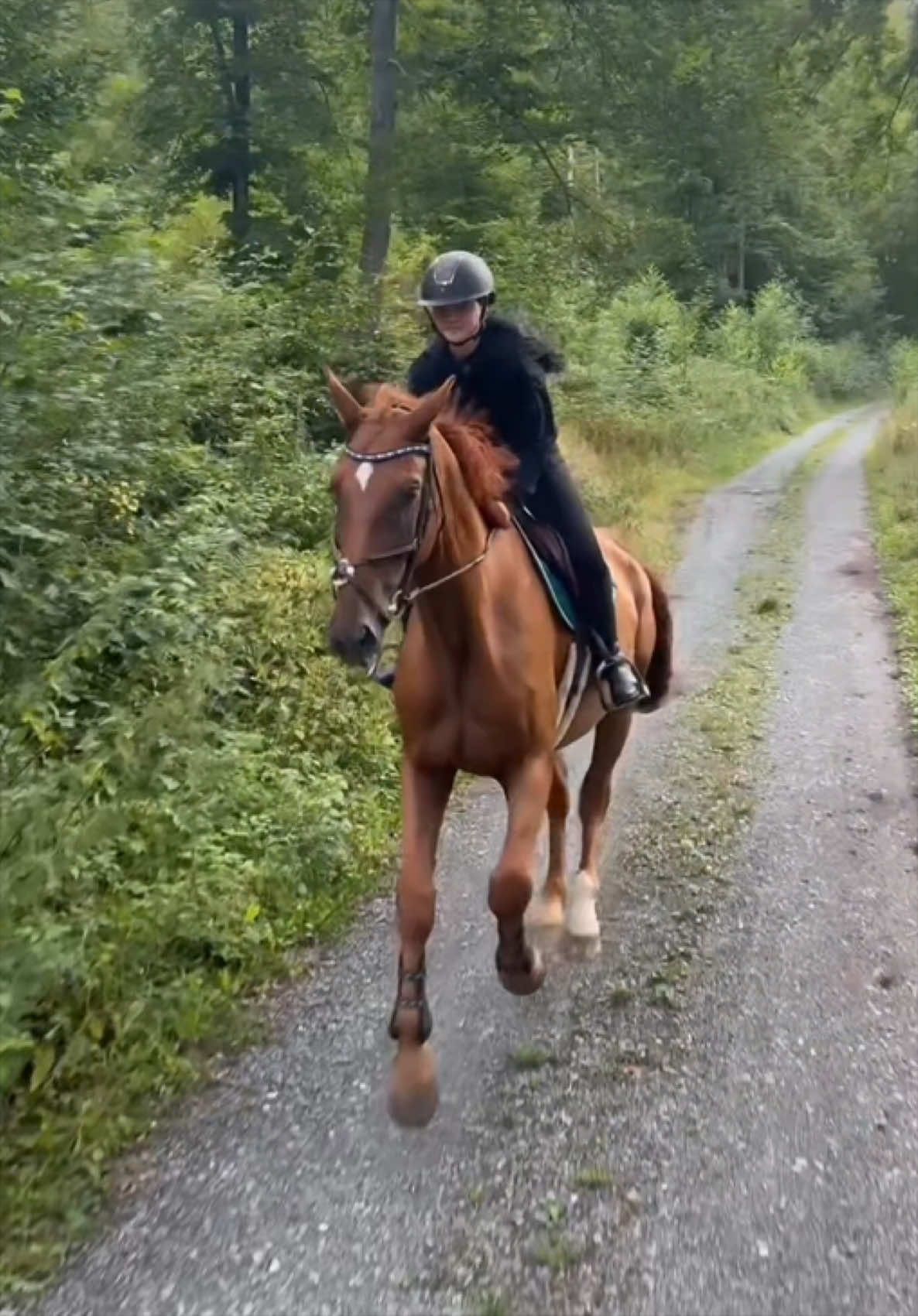 @annalisa.equestrian