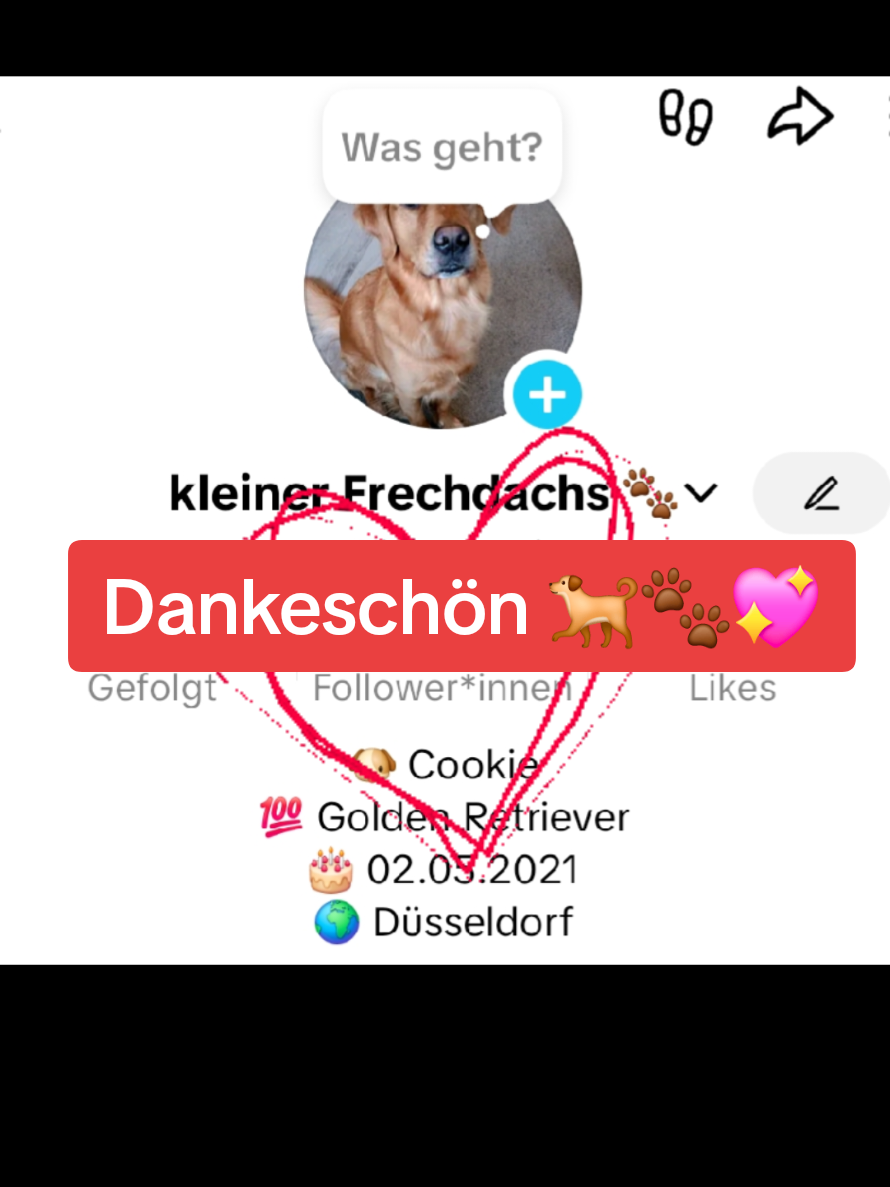 @kleiner Frechdachs 🐾