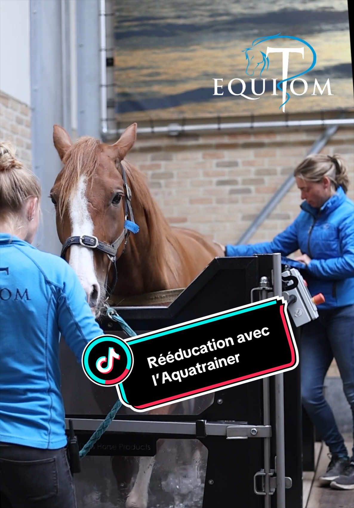 @Equitom