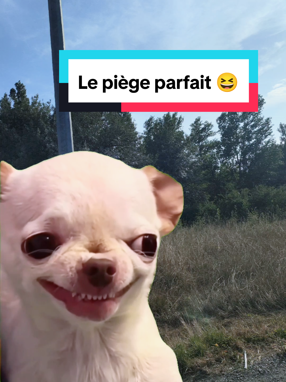 @𝘼𝙣𝙞𝙢𝙖𝙡𝙑𝙞𝙗𝙚