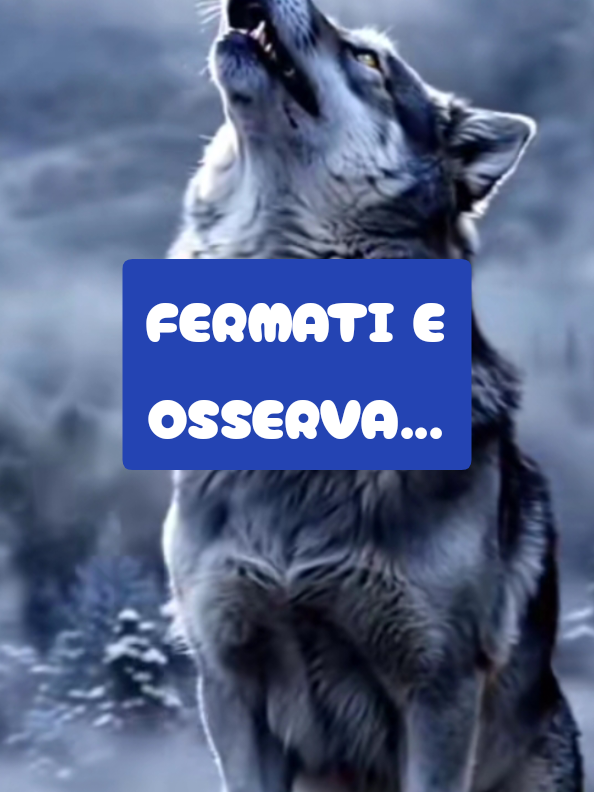 @ALESSANDRO_IL_ROMANO