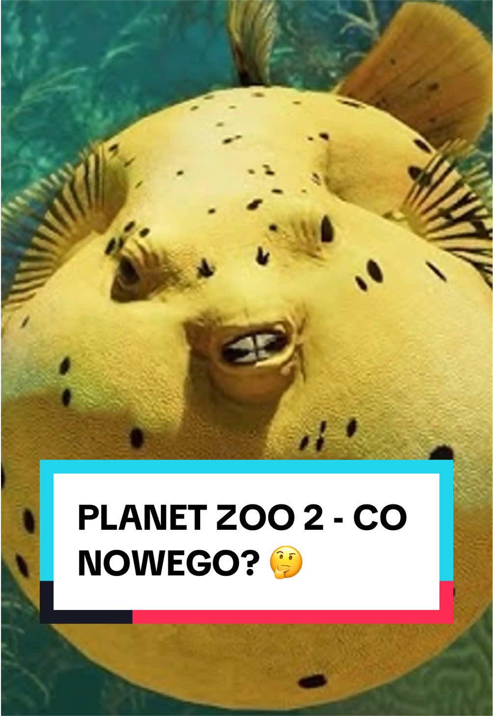 @pandawojtekyt