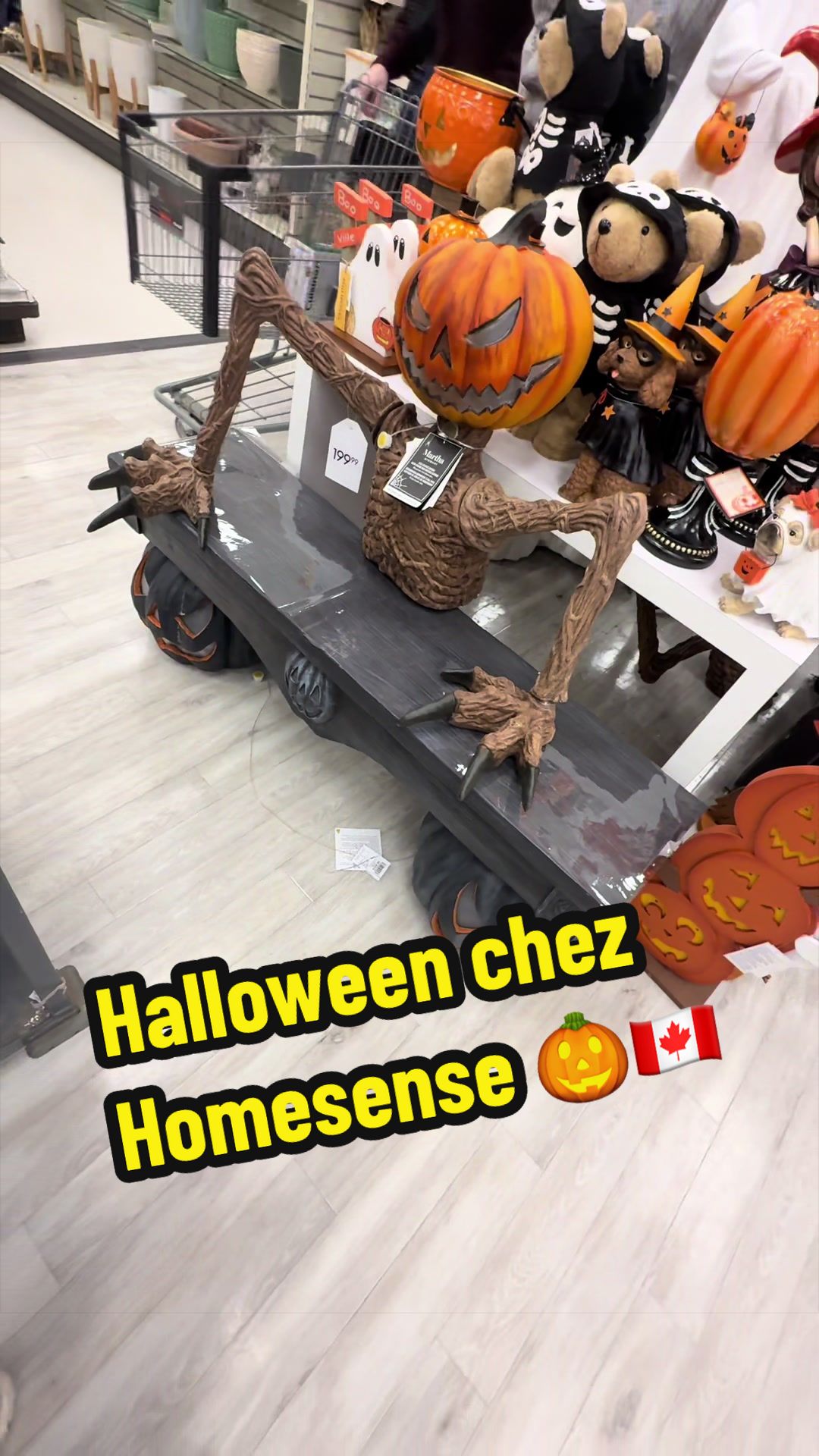 @Girlyalex83 🇨🇦