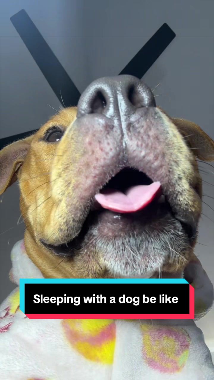 @Kaja & Macho 🥰