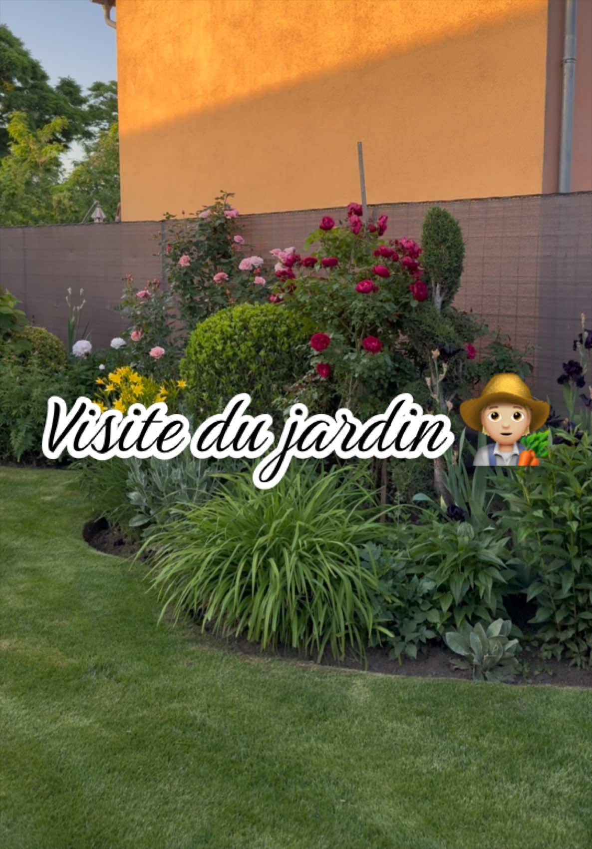 @Jardin de Rémi