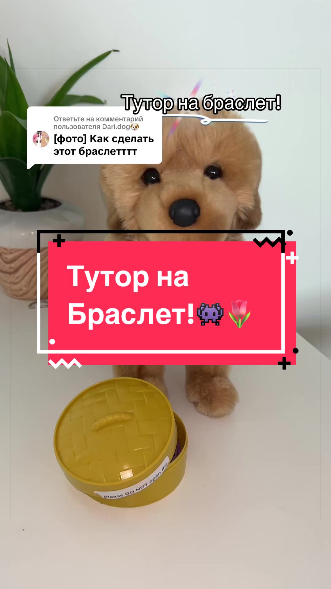 @🎈&raquo;𝔘𝔖𝔬𝔪𝔢𝔩_ESAS!⛓(Пдб)&laquo;🎂