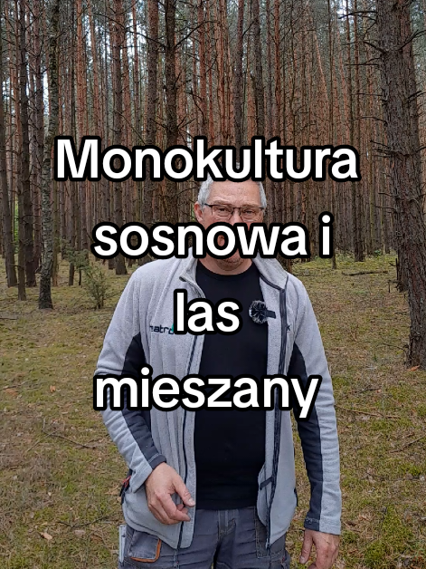 @Kominki GP