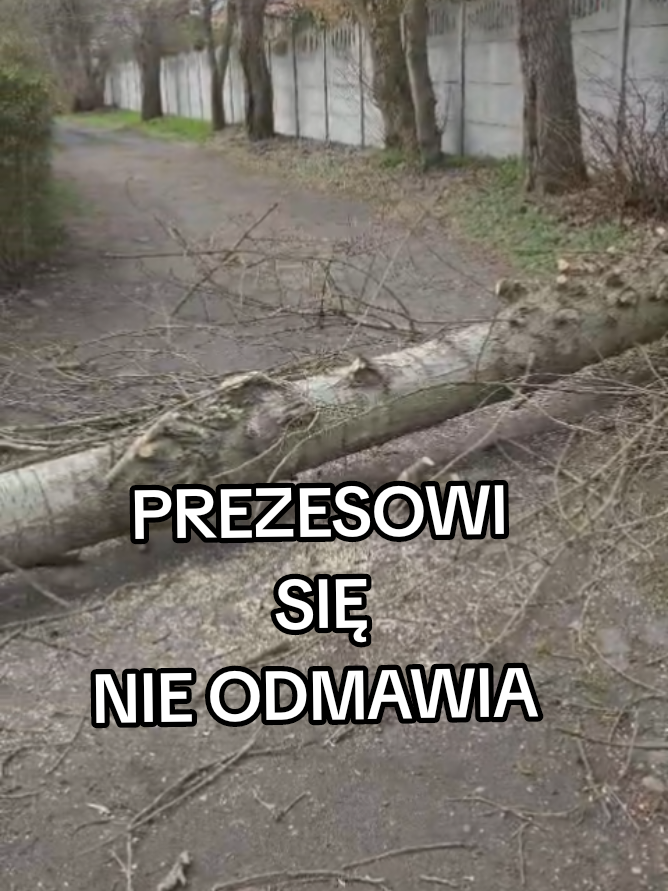 @wigoserwistv
