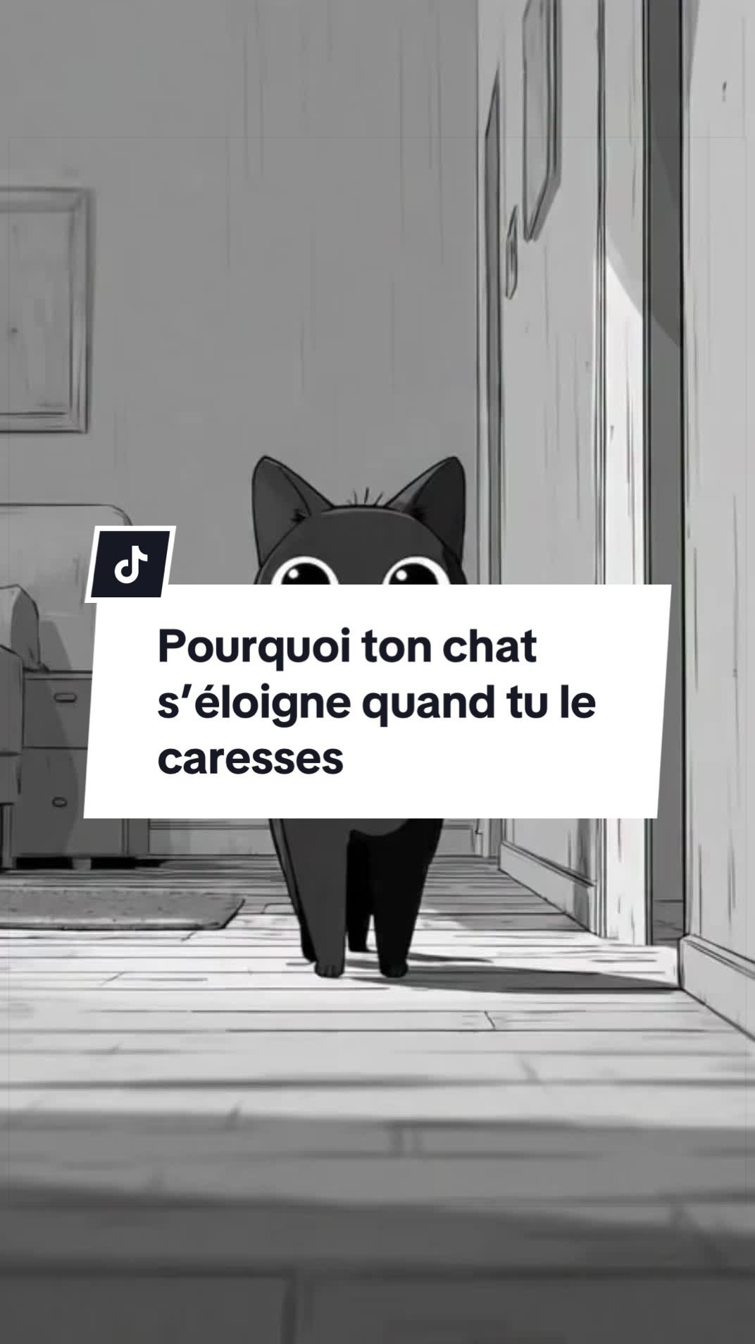 @PsyCat