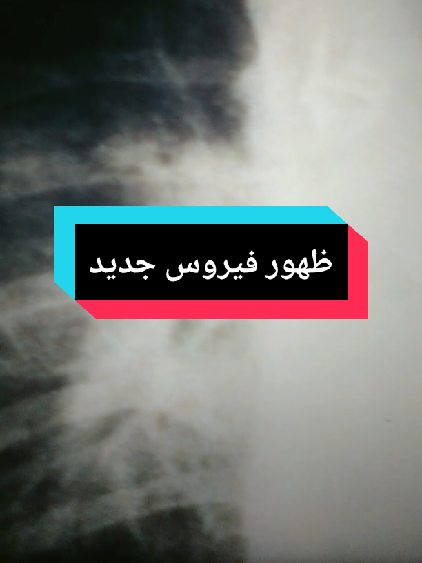 @Free Minds | العقول المتحررة💡
