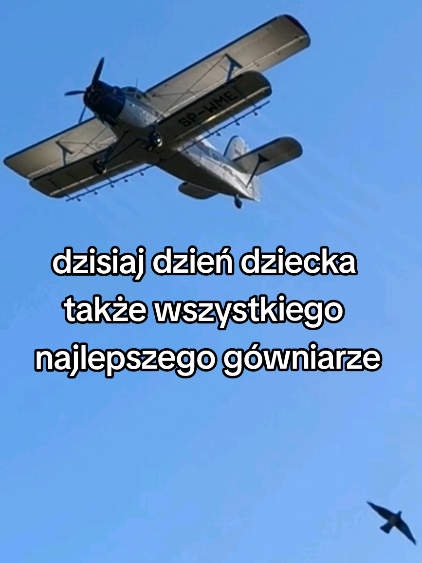 @Makowa Koza - sery z Kociewia