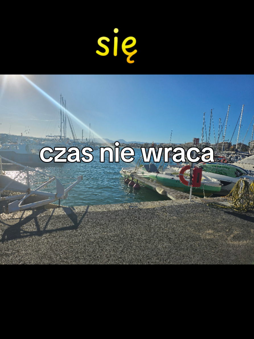 @Śladami Zebry